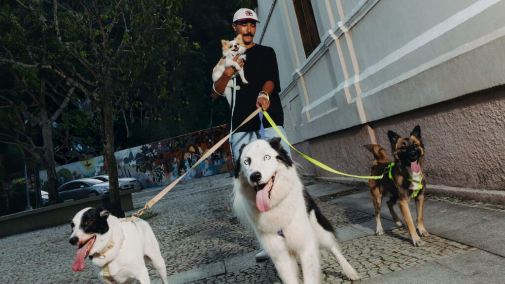 Renda extra com pets